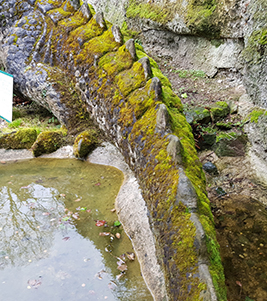 Erhaltungszustand: Kritisch Starker Moosbefall am Schwanz des Drachen