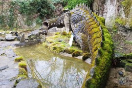 Drachen-der-Nibelungenhalle-moos