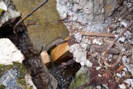 Restauration-Drache-Königswinter